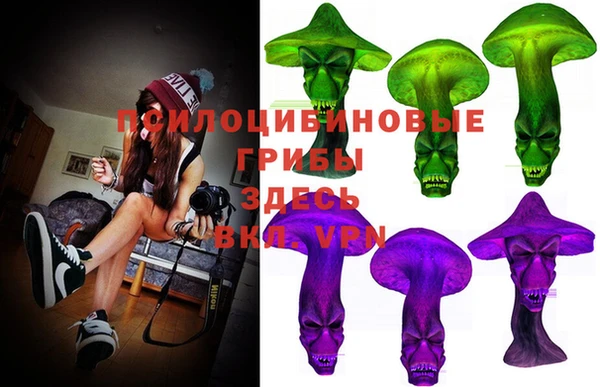 спиды Абаза