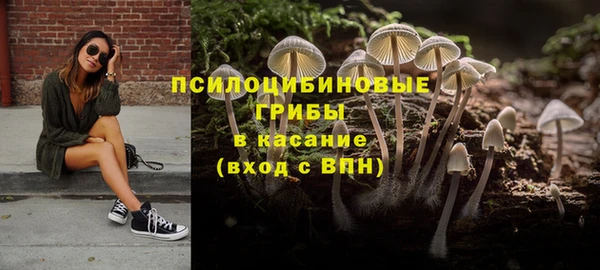 спиды Абаза
