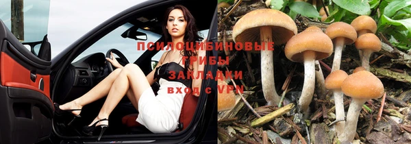 стафф Абдулино