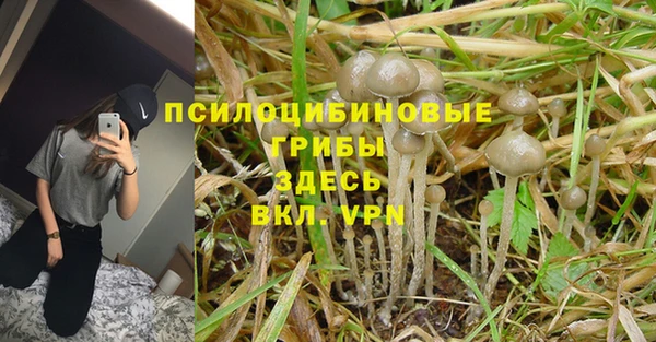 спиды Абаза