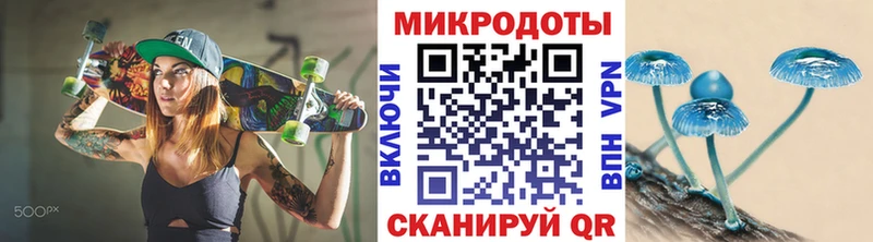 МЕГА ТОР  Холм  Псилоцибиновые грибы Psilocybine cubensis  где найти  